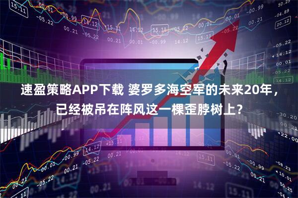 速盈策略APP下载 婆罗多海空军的未来20年，已经被吊在阵风这一棵歪脖树上？