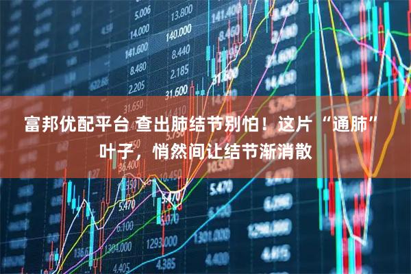 富邦优配平台 查出肺结节别怕！这片 “通肺” 叶子，悄然间让结节渐消散