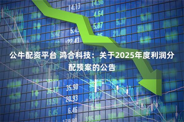 公牛配资平台 鸿合科技：关于2025年度利润分配预案的公告
